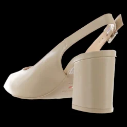 Nero Giardini Decollete Eleganti E Cerimonia Da Donna Lino - E409431D